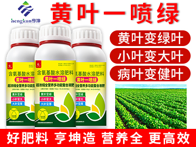 黃葉一噴綠